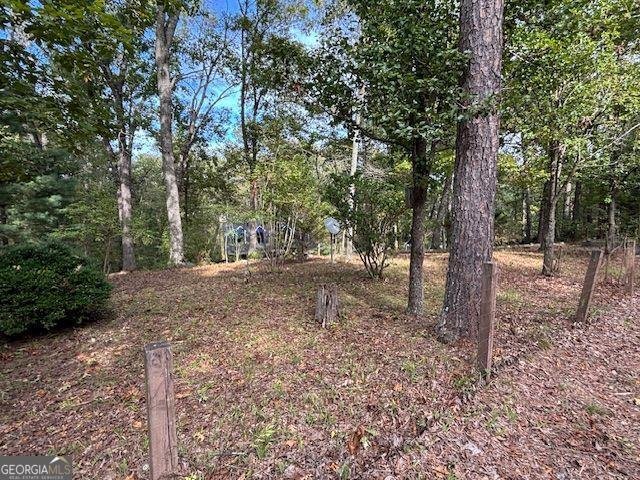 549 Eagles Nest Trail Ball Ground - 11