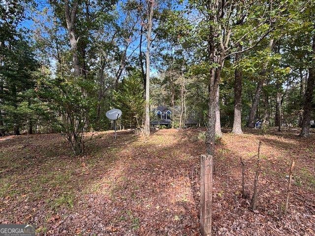 549 Eagles Nest Trail Ball Ground - 12