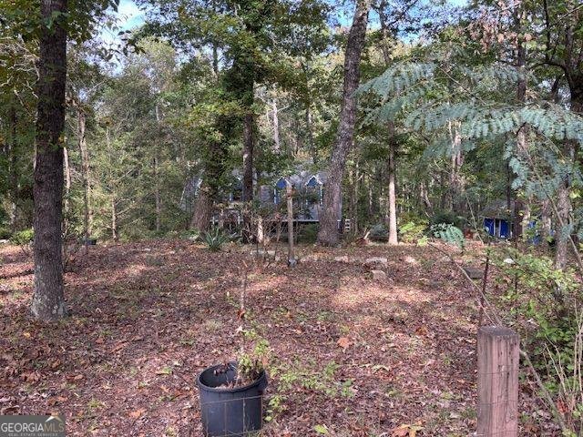 549 Eagles Nest Trail Ball Ground - 13