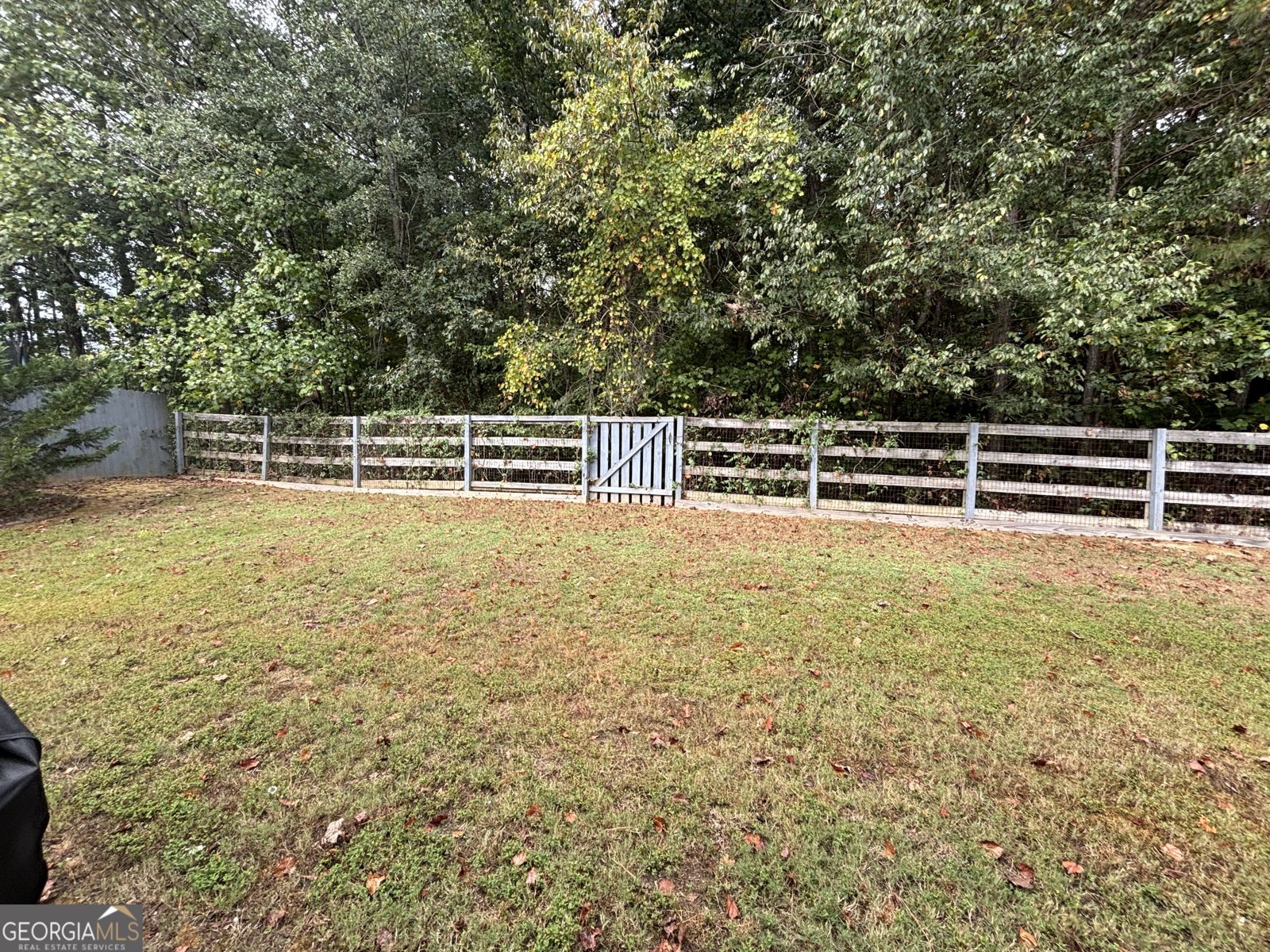 3419 Redwood Forest Lane Powder Springs - 43