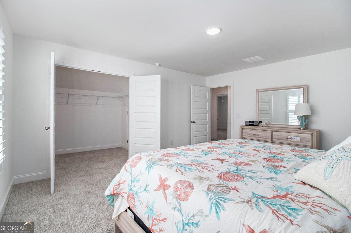 546 Linch Road Senoia - 21