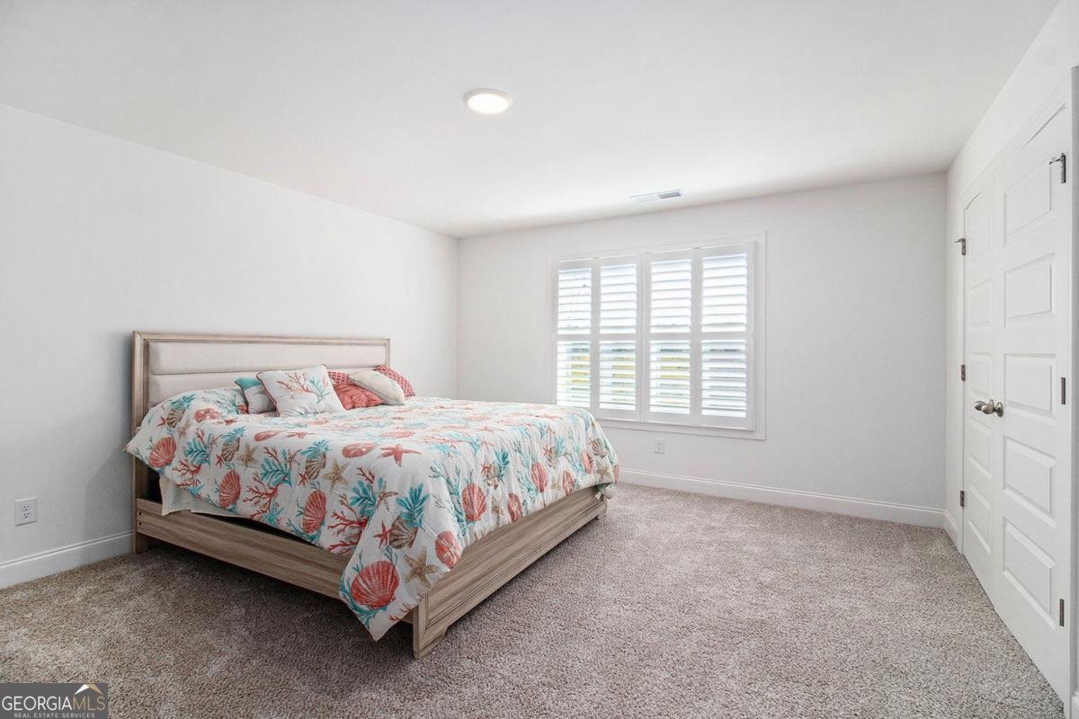 546 Linch Road Senoia - 22