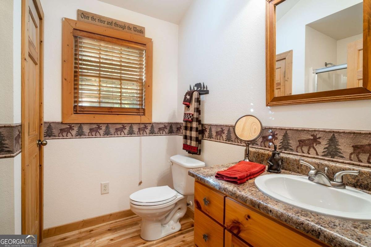 254 Canal Lake Road Blairsville - 38