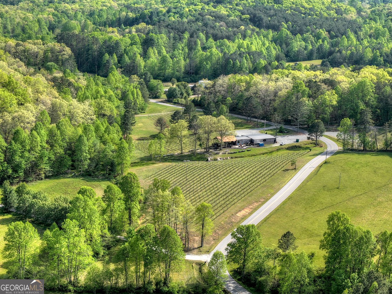 35 Brookside Court Blue Ridge - Photo 48