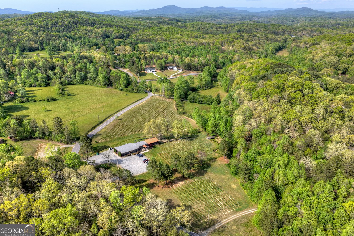 35 Brookside Court Blue Ridge - Photo 49