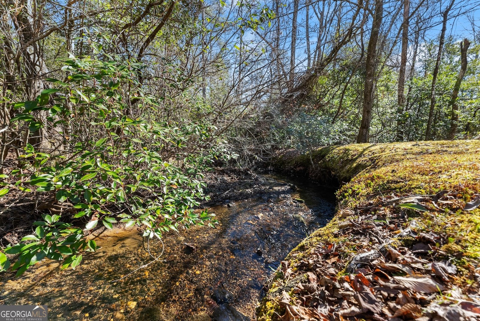 4960 Laurel Lodge Road Clarkesville - 30