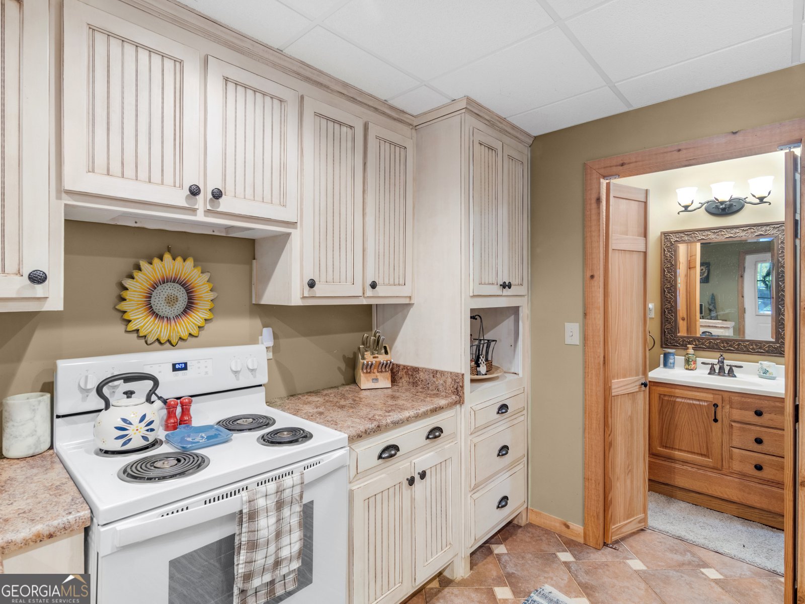 325 Country Side Drive McDonough - 36