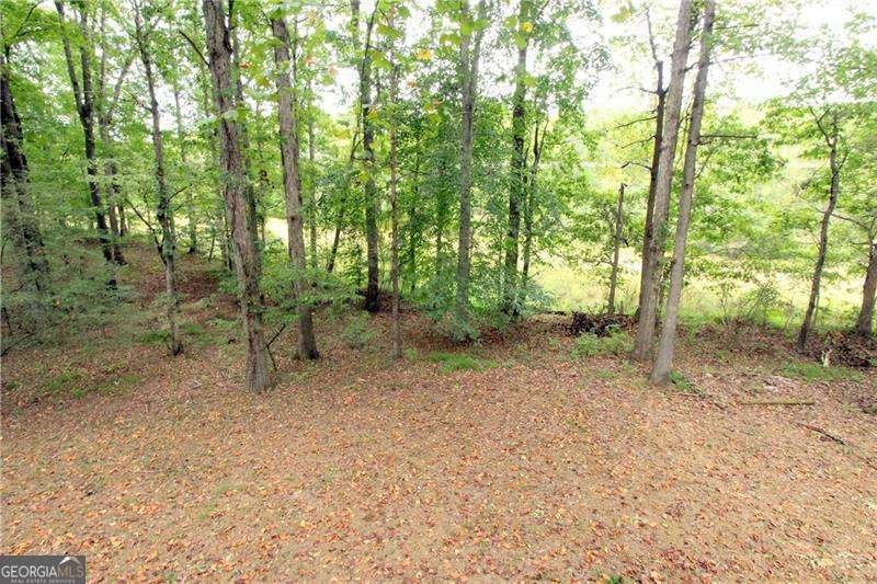 1597 High Sierra a Drive Lawrenceville - 32