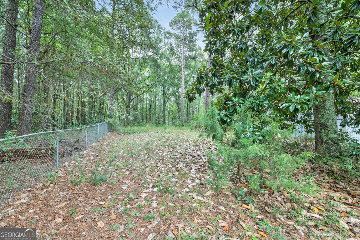 966 David Avenue Winder - 35