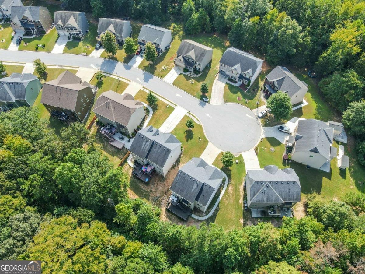 5290 CLINGMAN Court Douglasville - 52