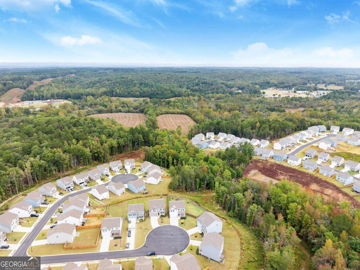 59 Elderberry Circle Dawsonville - 61