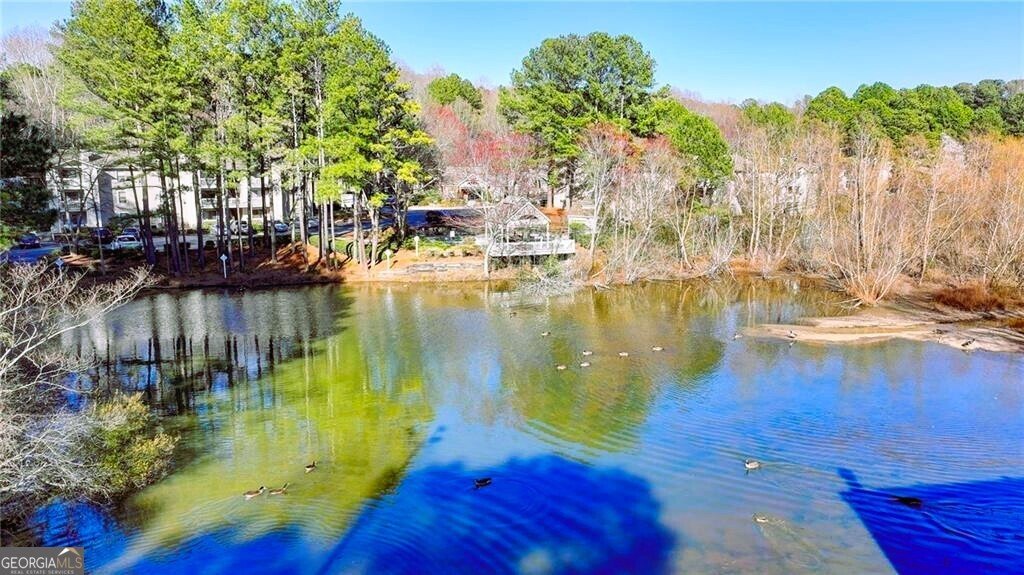 3396 Misty Harbour Trail Doraville - 22