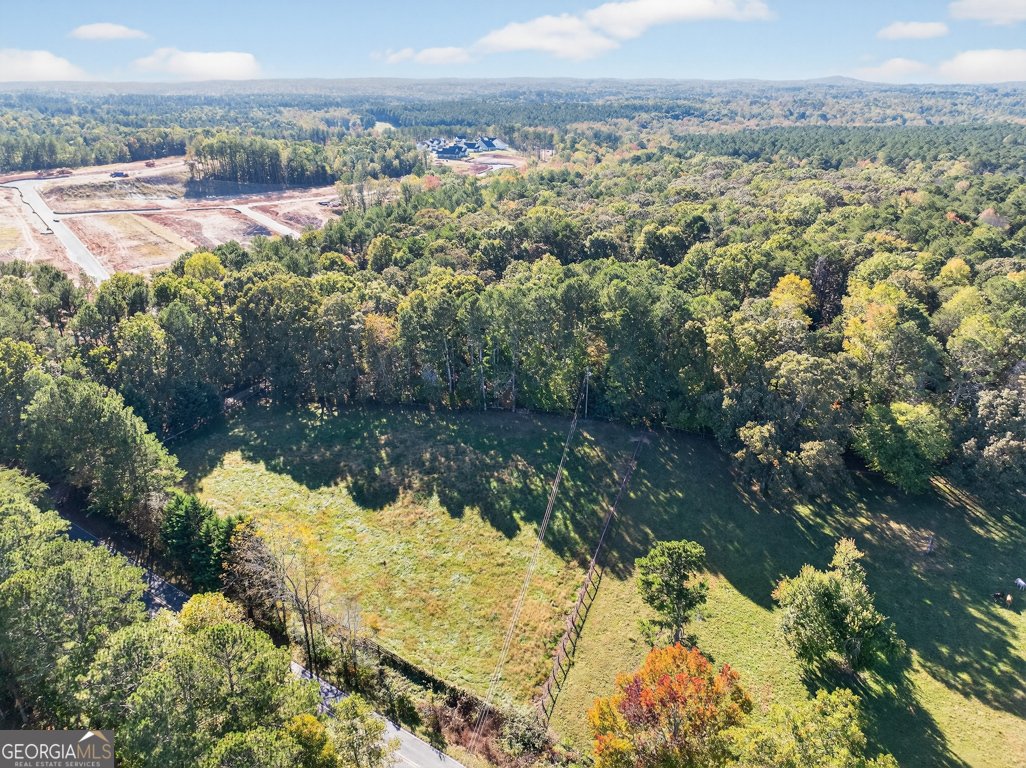 2896 Cowart Road Dawsonville - 41
