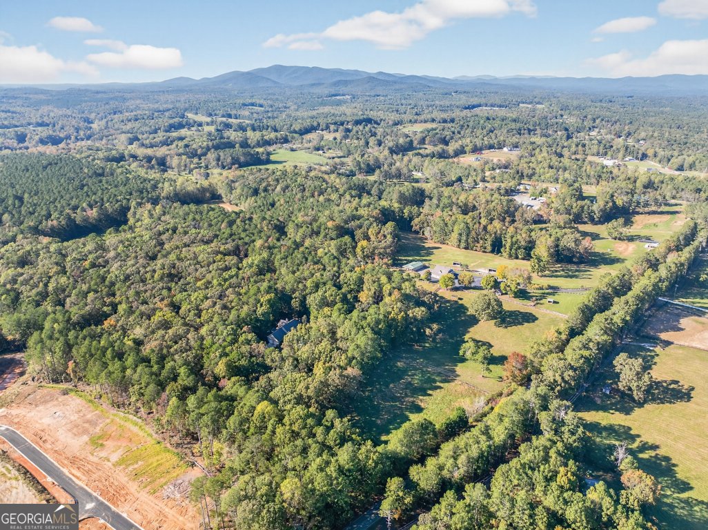 2896 Cowart Road Dawsonville - 42