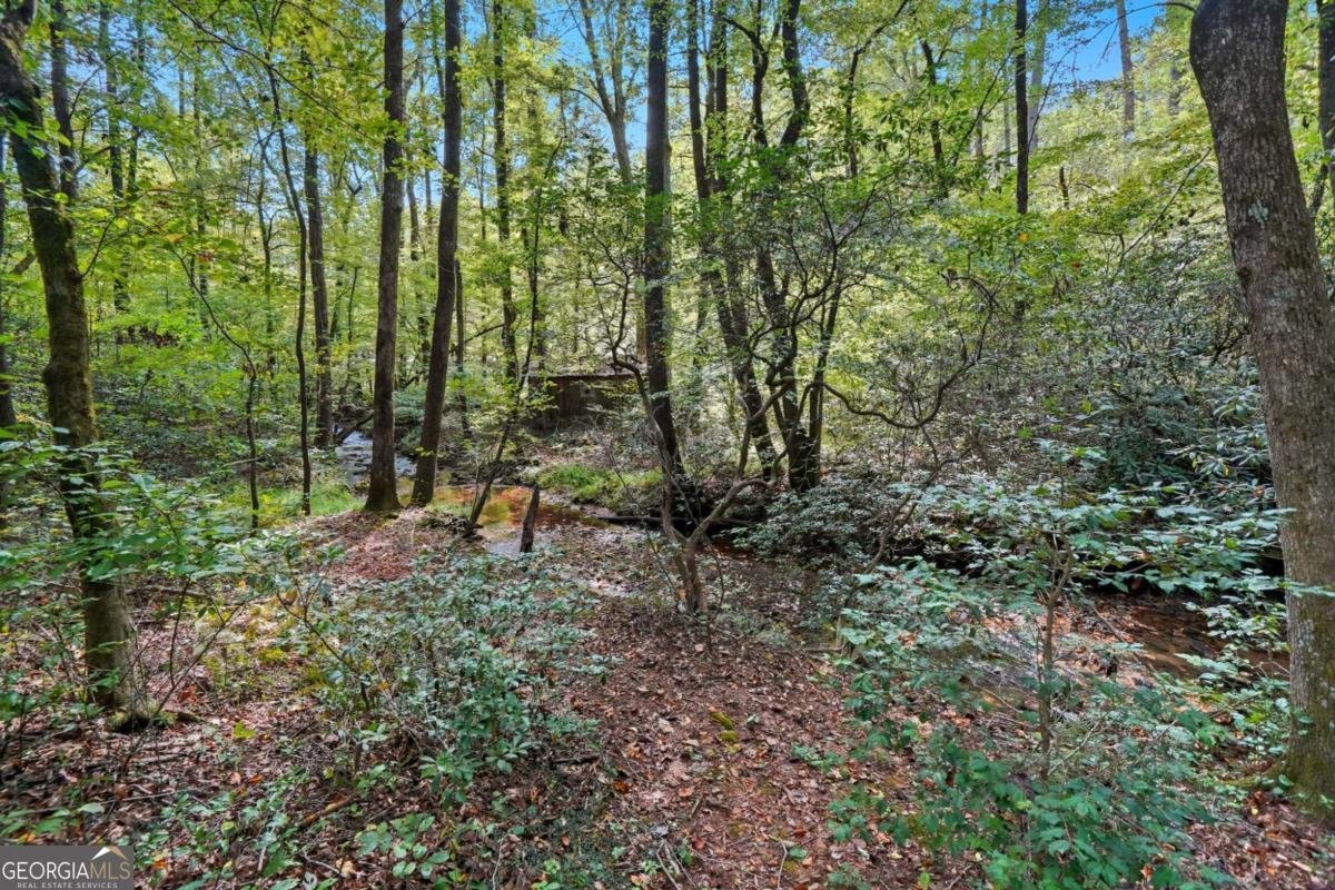 257 Foothills Drive Cleveland - 24