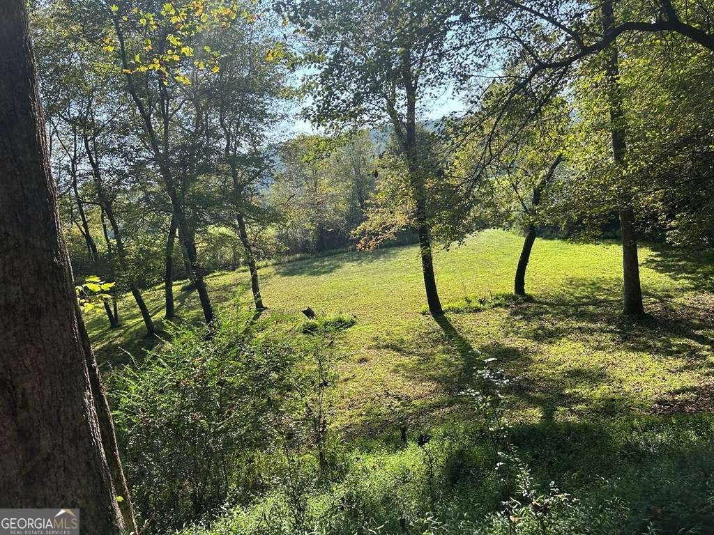 445 Twin Creeks Road Blue Ridge - 14