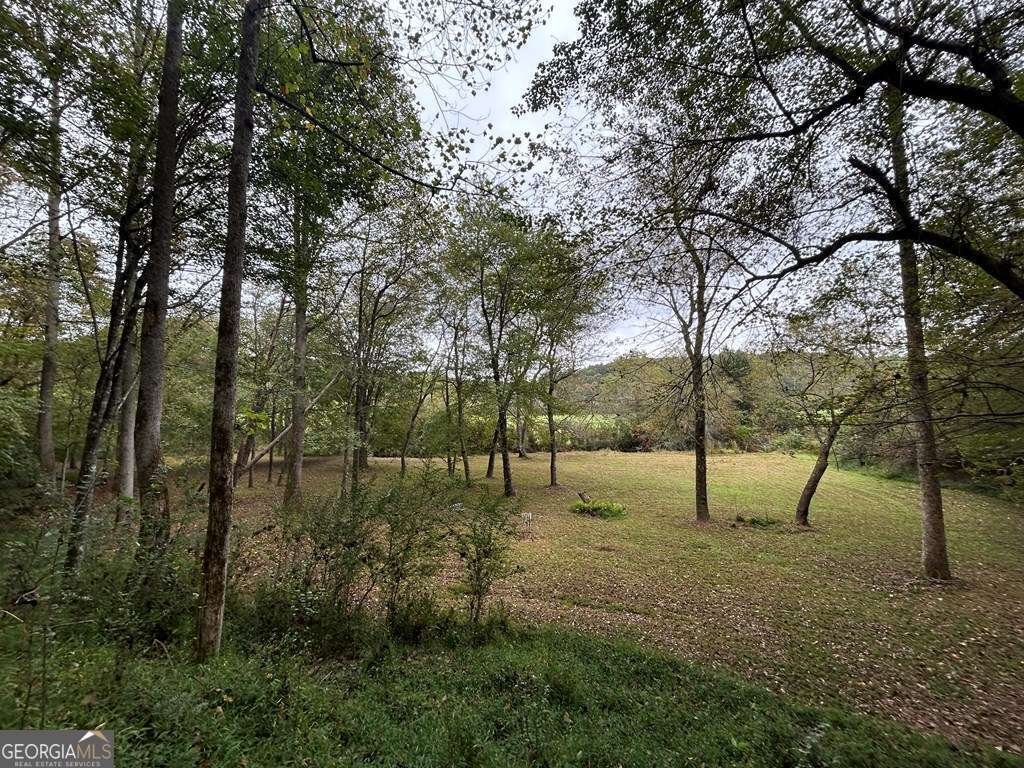 445 Twin Creeks Road Blue Ridge - 19