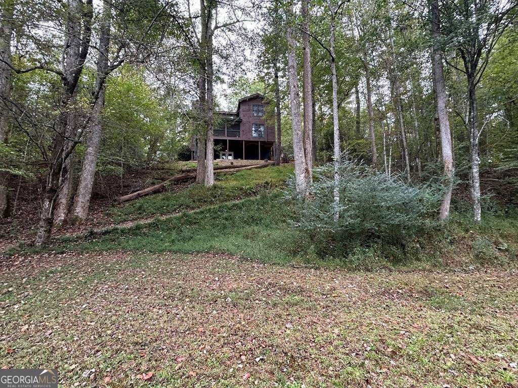 445 Twin Creeks Road Blue Ridge - 22