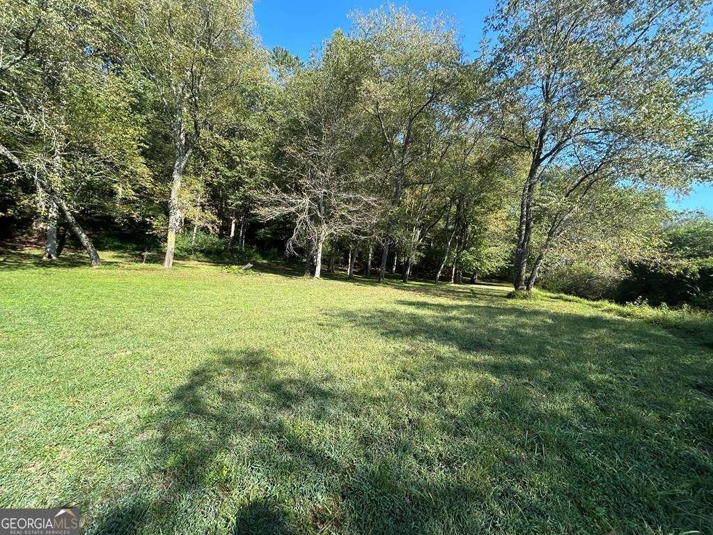 445 Twin Creeks Road Blue Ridge - 24