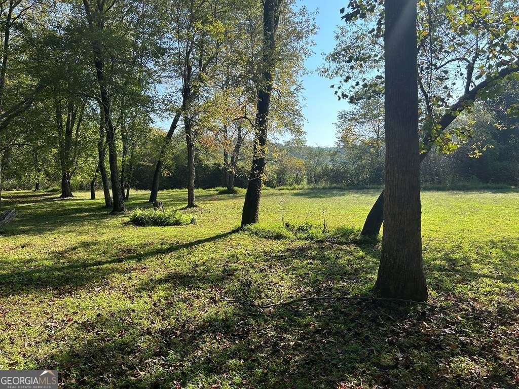 445 Twin Creeks Road Blue Ridge - 27