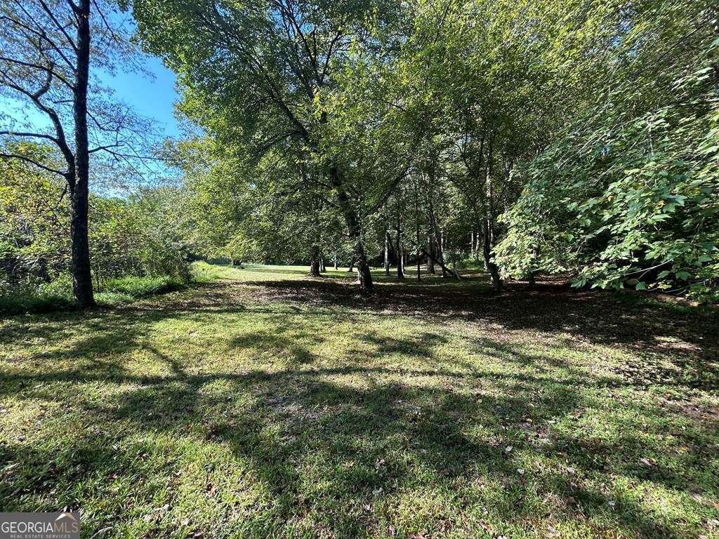 445 Twin Creeks Road Blue Ridge - 6