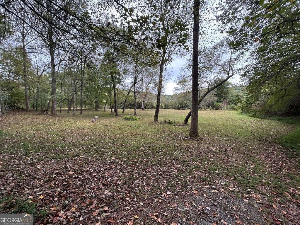 445 Twin Creeks Road Blue Ridge - 62