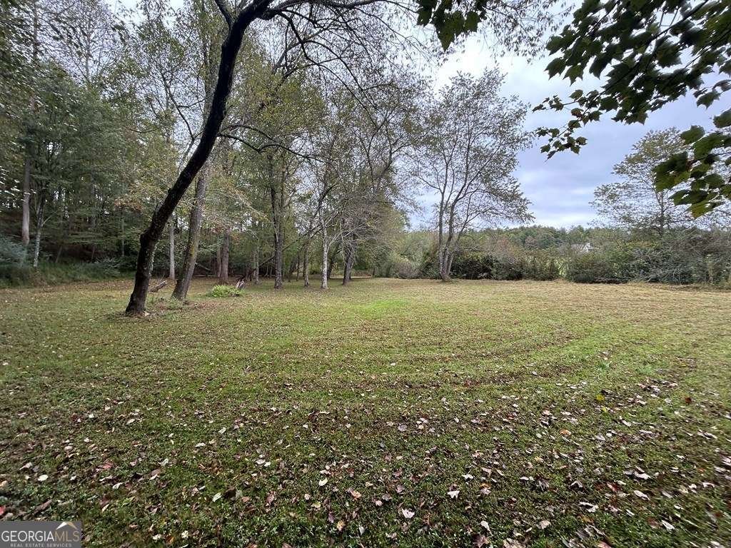 445 Twin Creeks Road Blue Ridge - 8