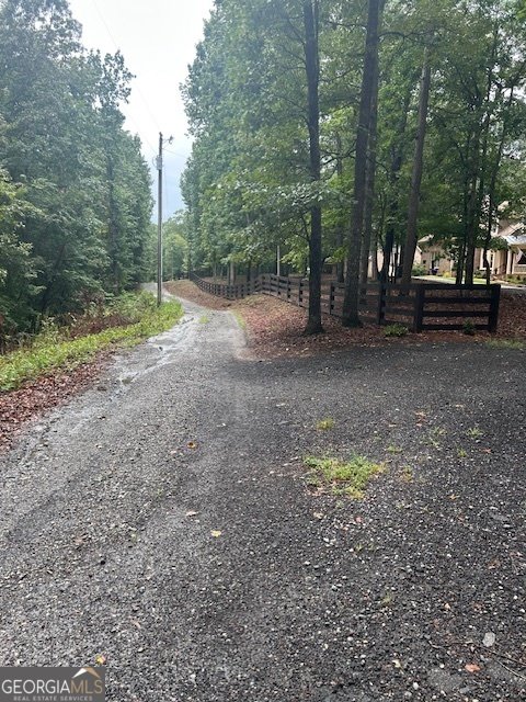771 Rattlesnake Ridge Dawsonville - 8