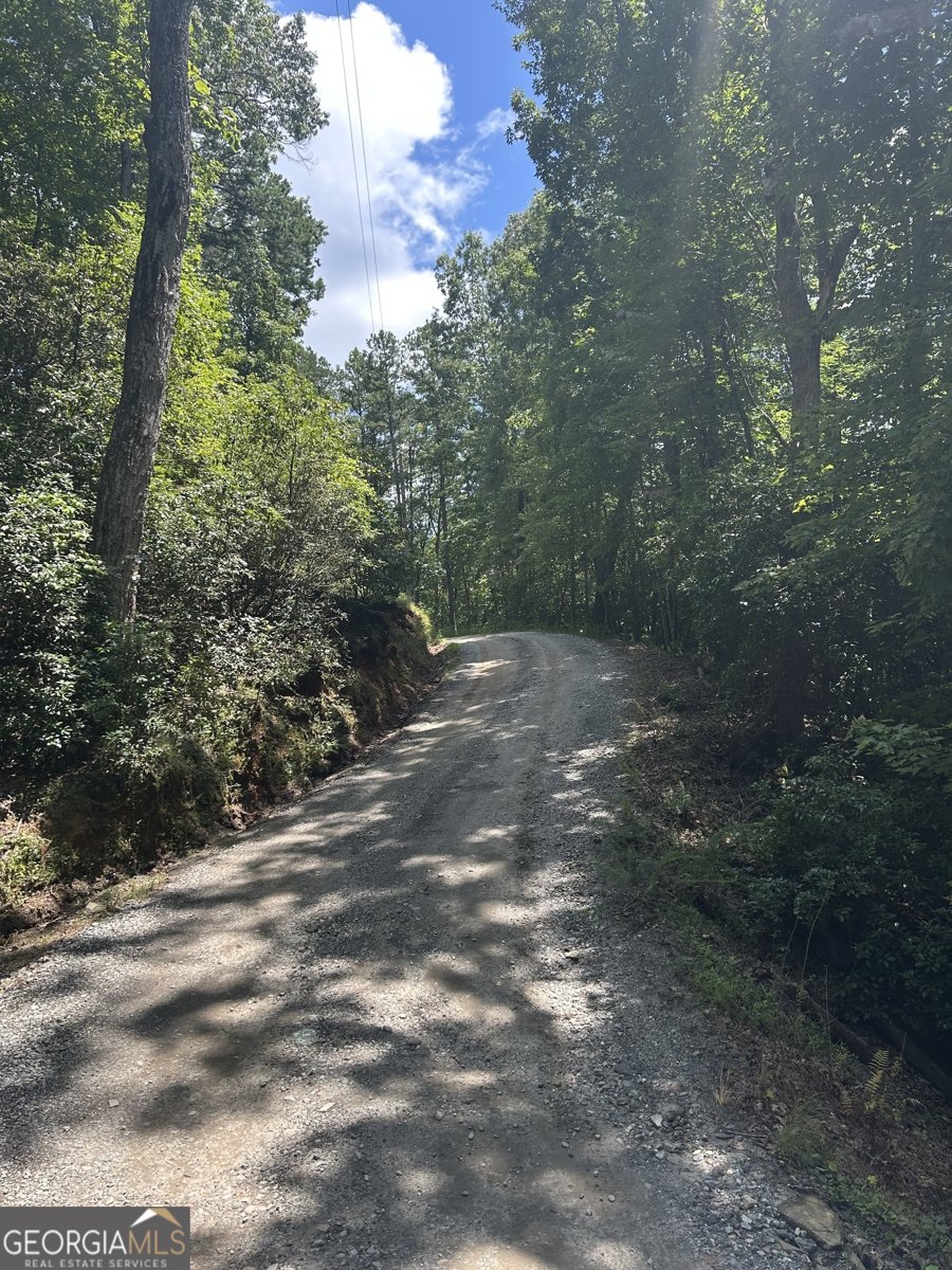 771 Rattlesnake Ridge Dawsonville - 9
