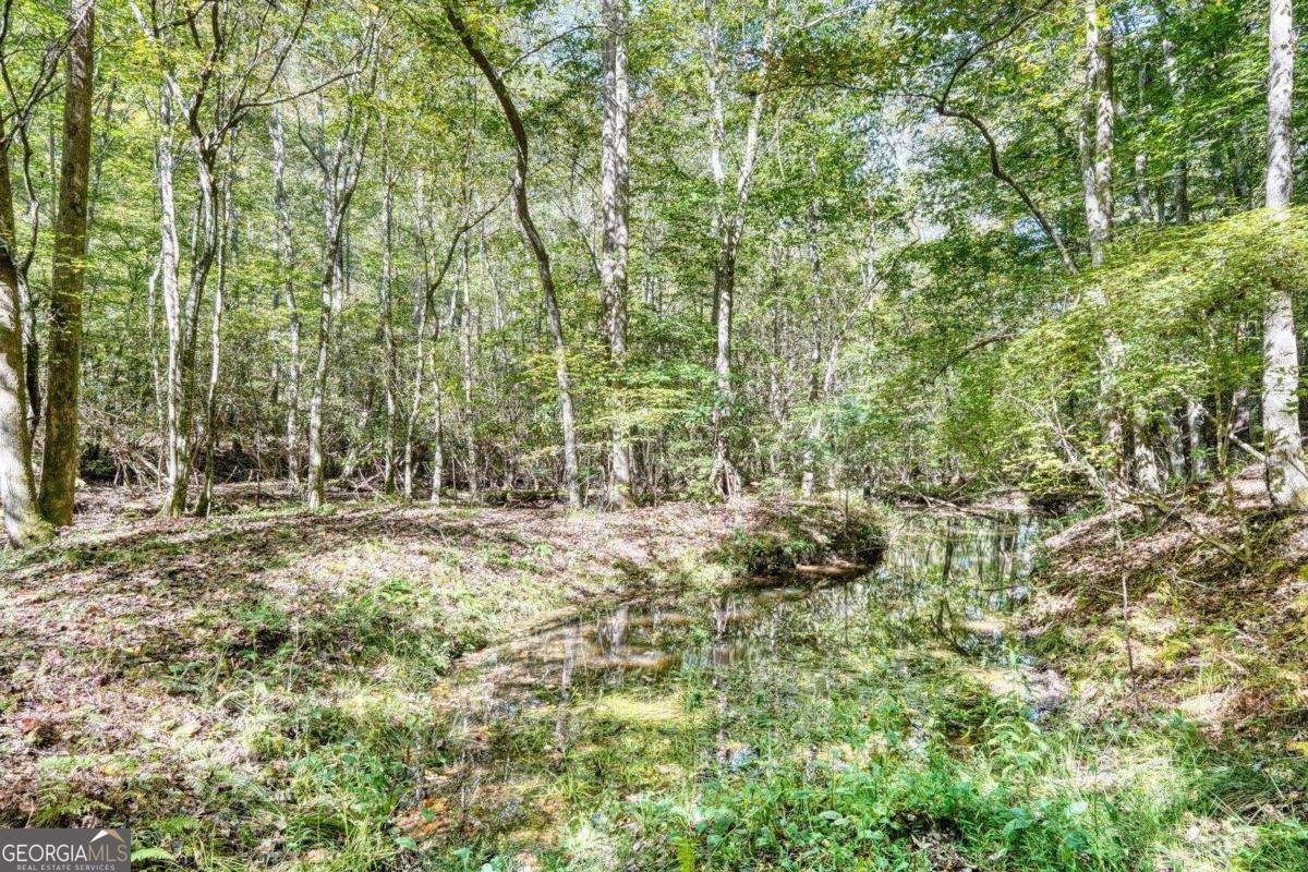 3966 Hickory Nut Drive Hiawassee - 11