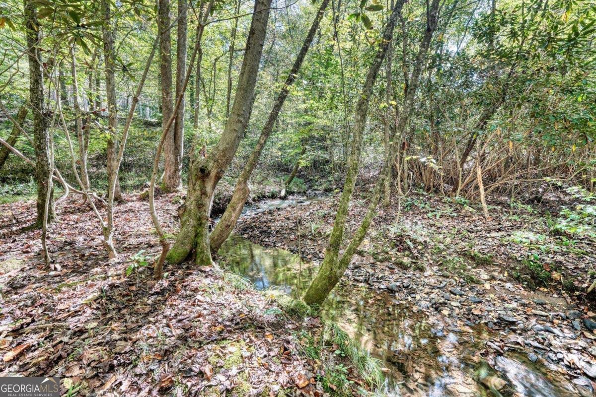 3966 Hickory Nut Drive Hiawassee - 12