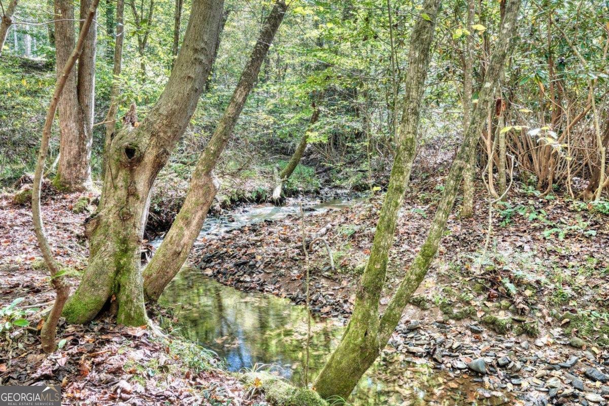 3966 Hickory Nut Drive Hiawassee - 13