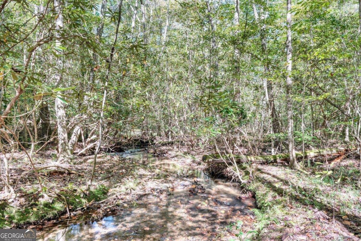 3966 Hickory Nut Drive Hiawassee - 14