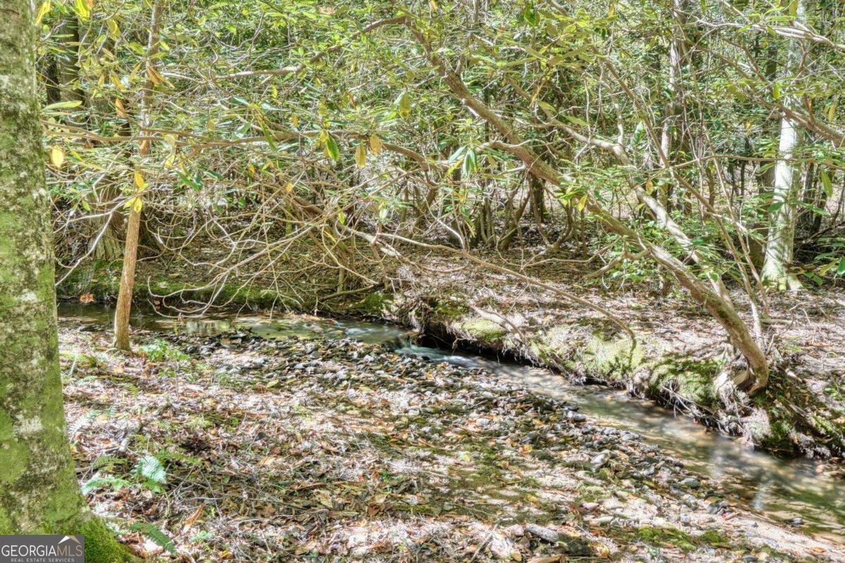 3966 Hickory Nut Drive Hiawassee - 3