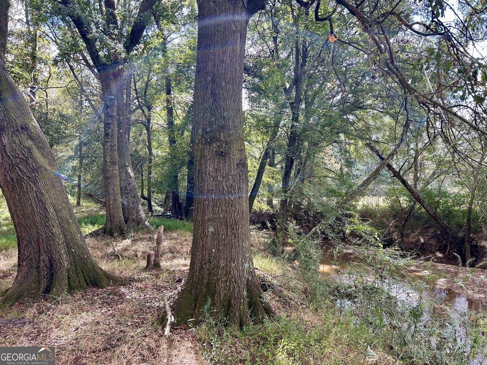 1398 Vanna Road Royston - 30