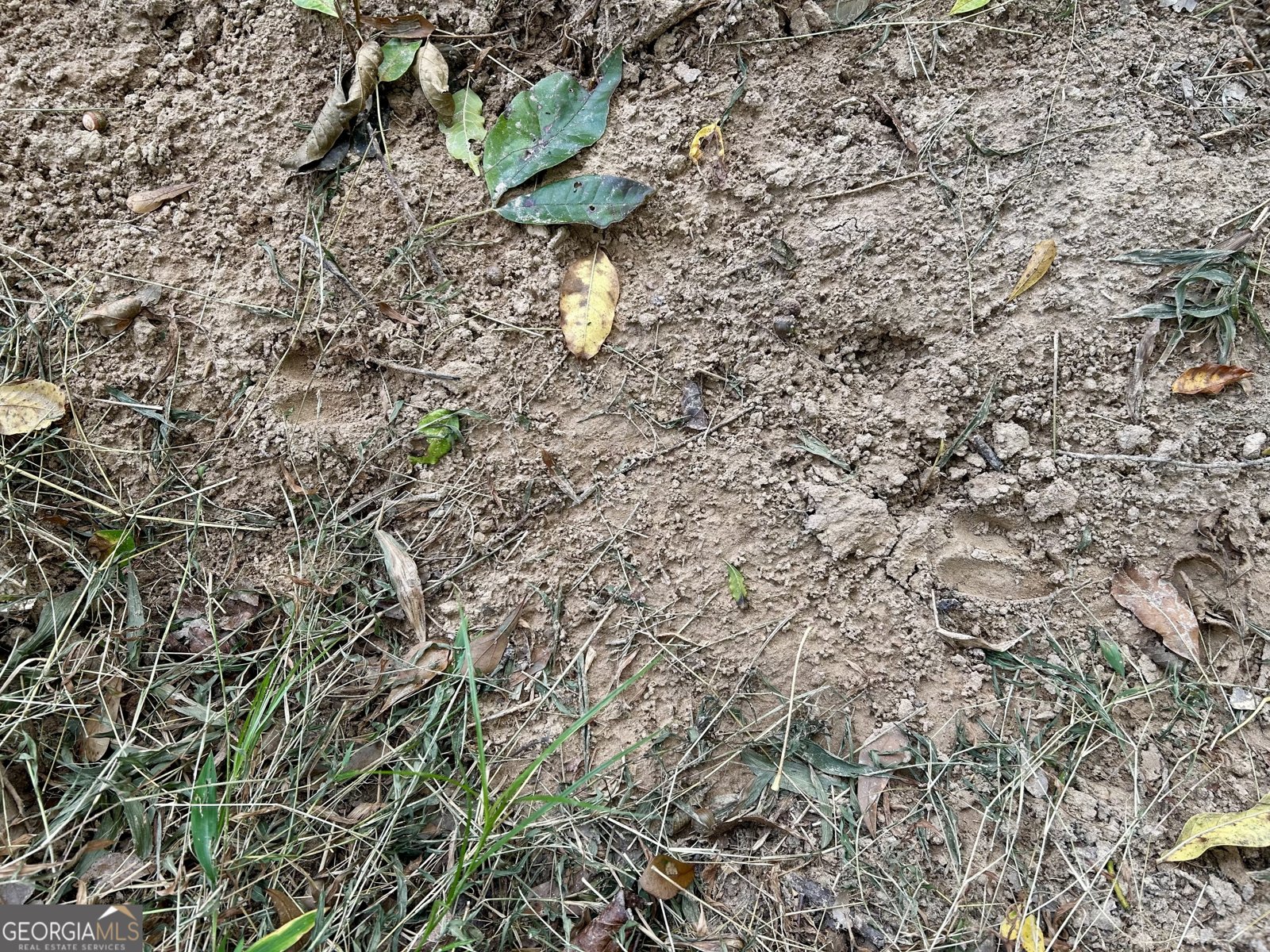 1398 Vanna Road Royston - 34