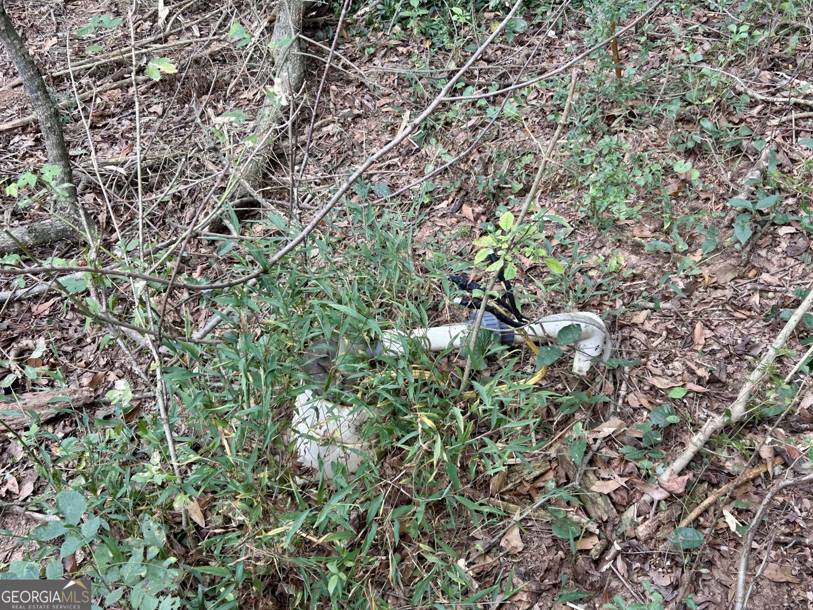 1398 Vanna Road Royston - 35