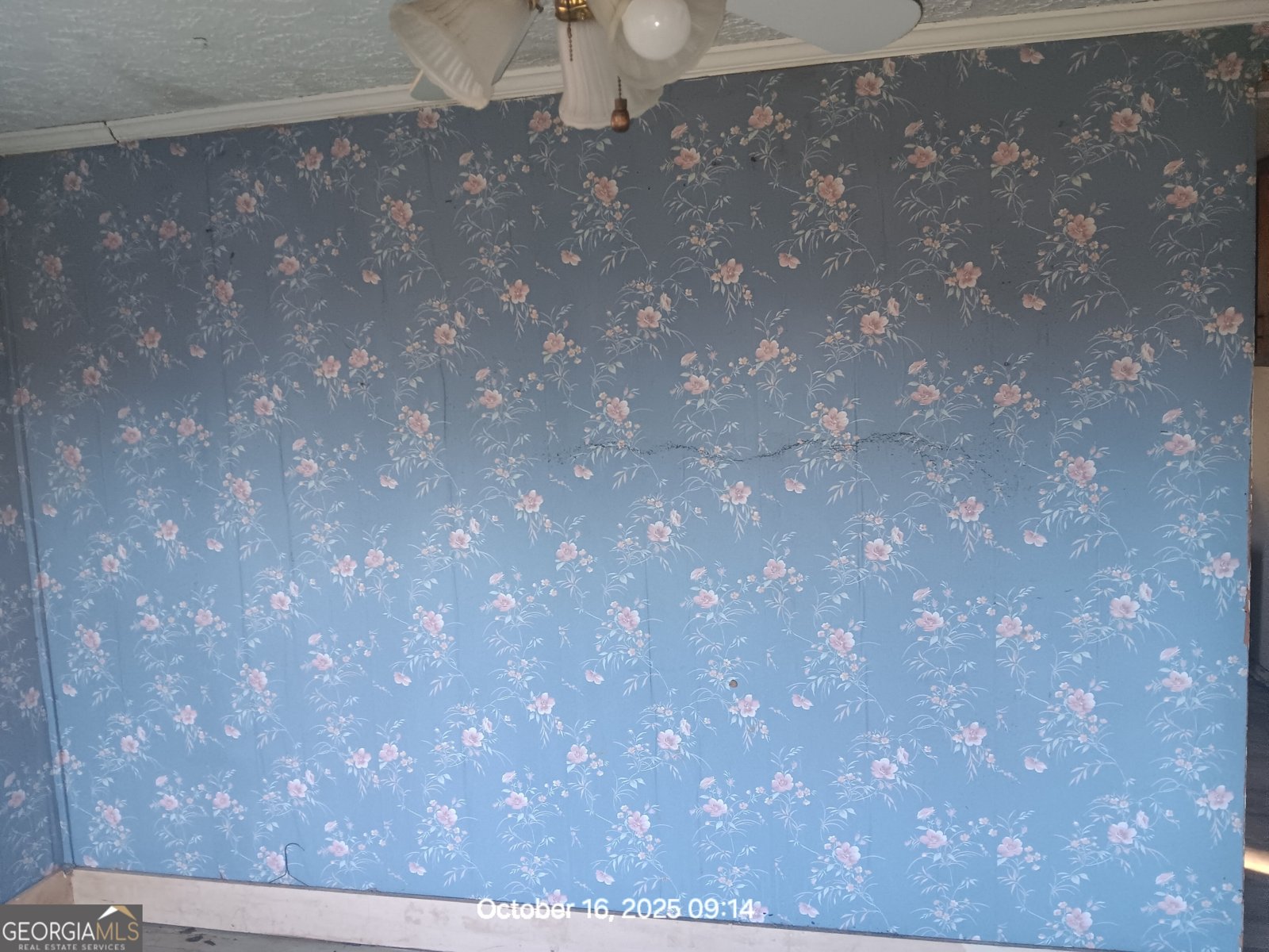 1530 Parker Road Sparta - 56