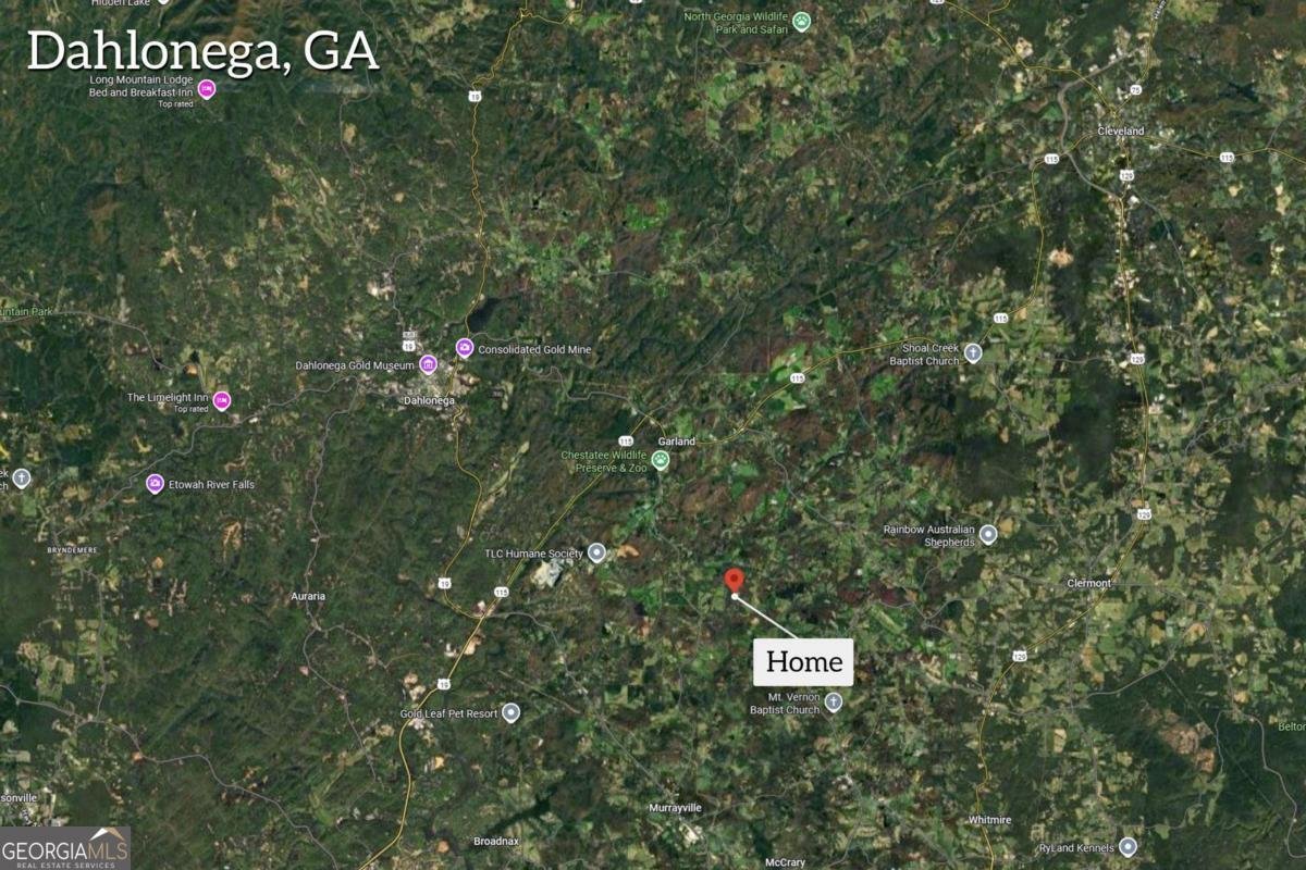 118 Pine Corner Drive Dahlonega - 35