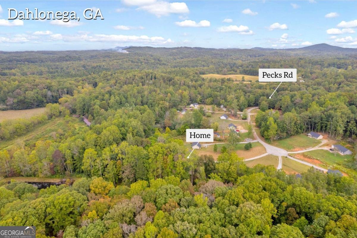 118 Pine Corner Drive Dahlonega - 39