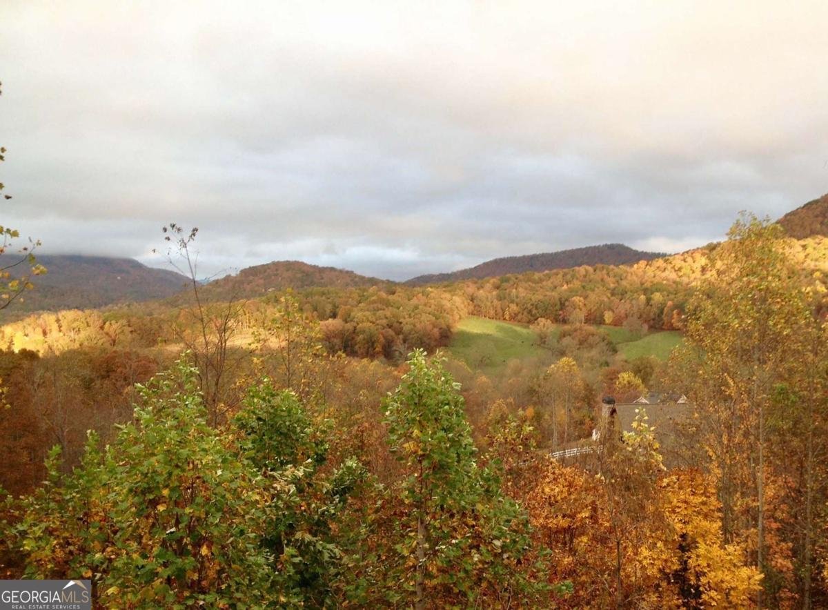 197 Eagles View Road Hayesville - 49