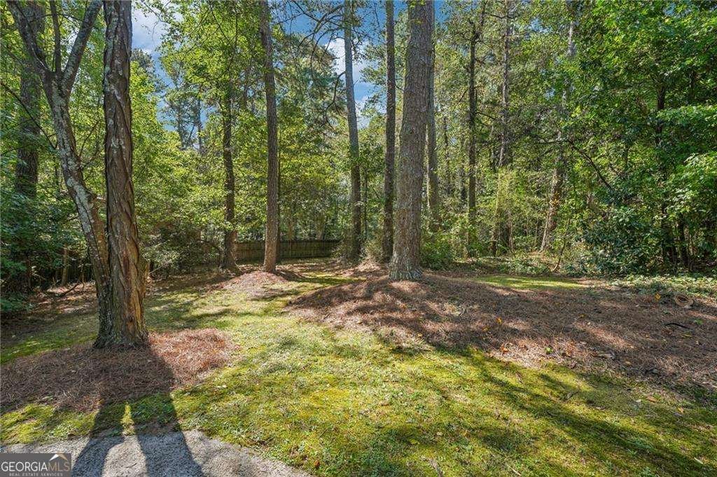 2138 Cedar Forks Drive Marietta - 5