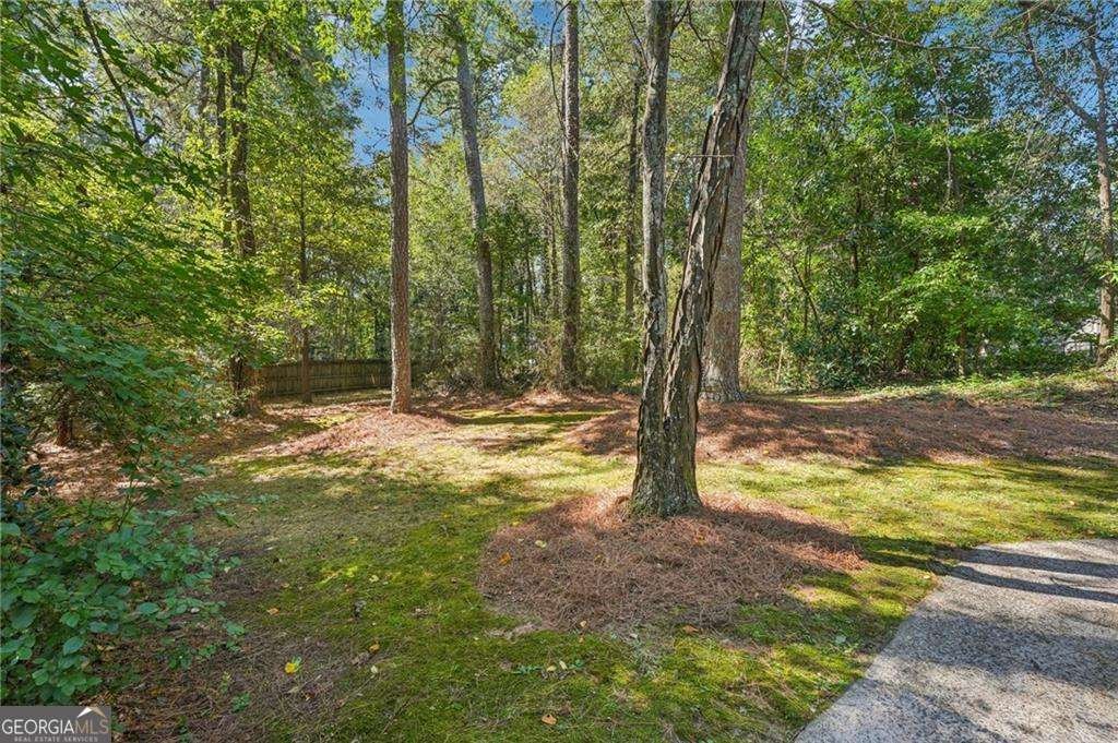 2138 Cedar Forks Drive Marietta - 8