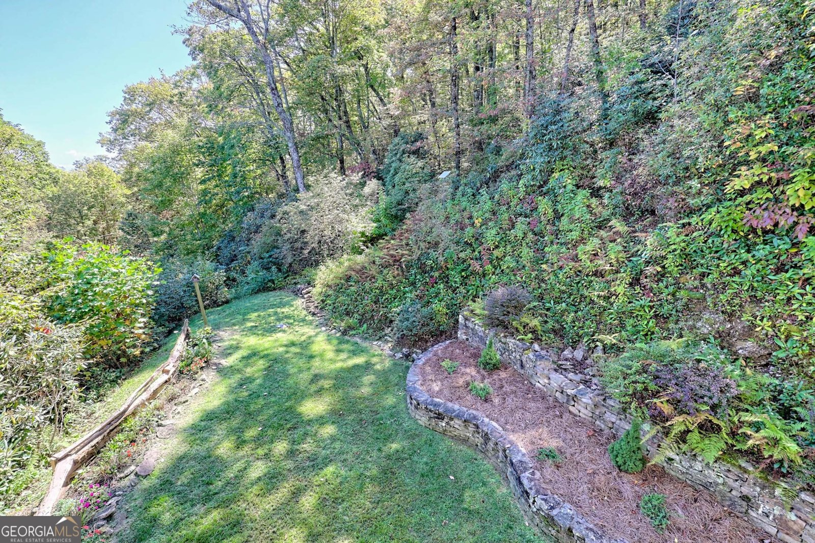 3315 Bald Mountain Road Dillard - 21