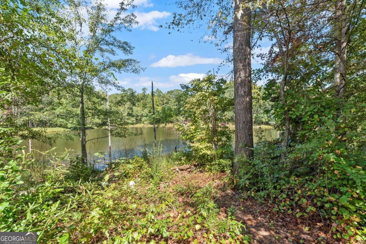 1354 Pilgrim Lake Drive Cumming - 32