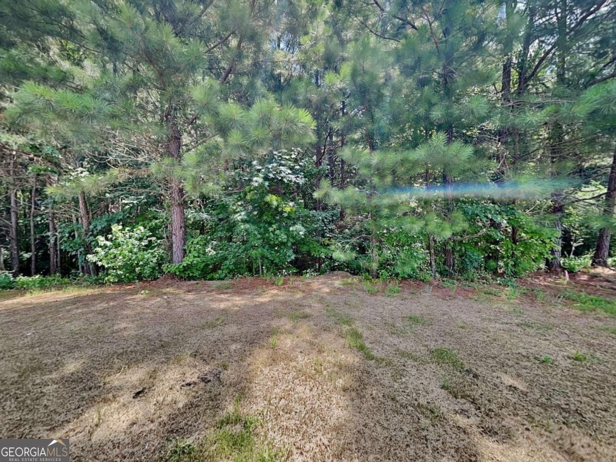 683 Riverwood Pass Dallas - 19