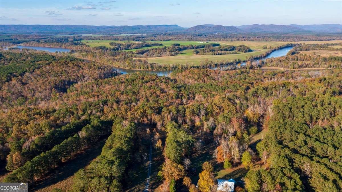 8006 Blacks Bluff Road Cave Spring - 36