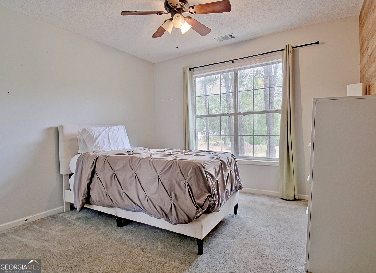 519 Cumberland Trail Senoia - 18