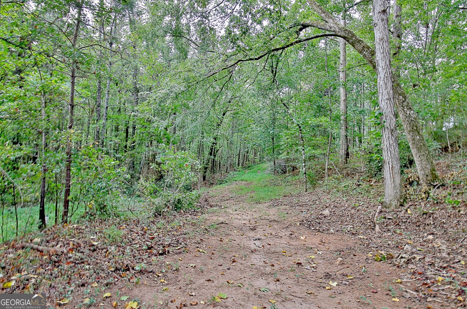 519 Cumberland Trail Senoia - 34