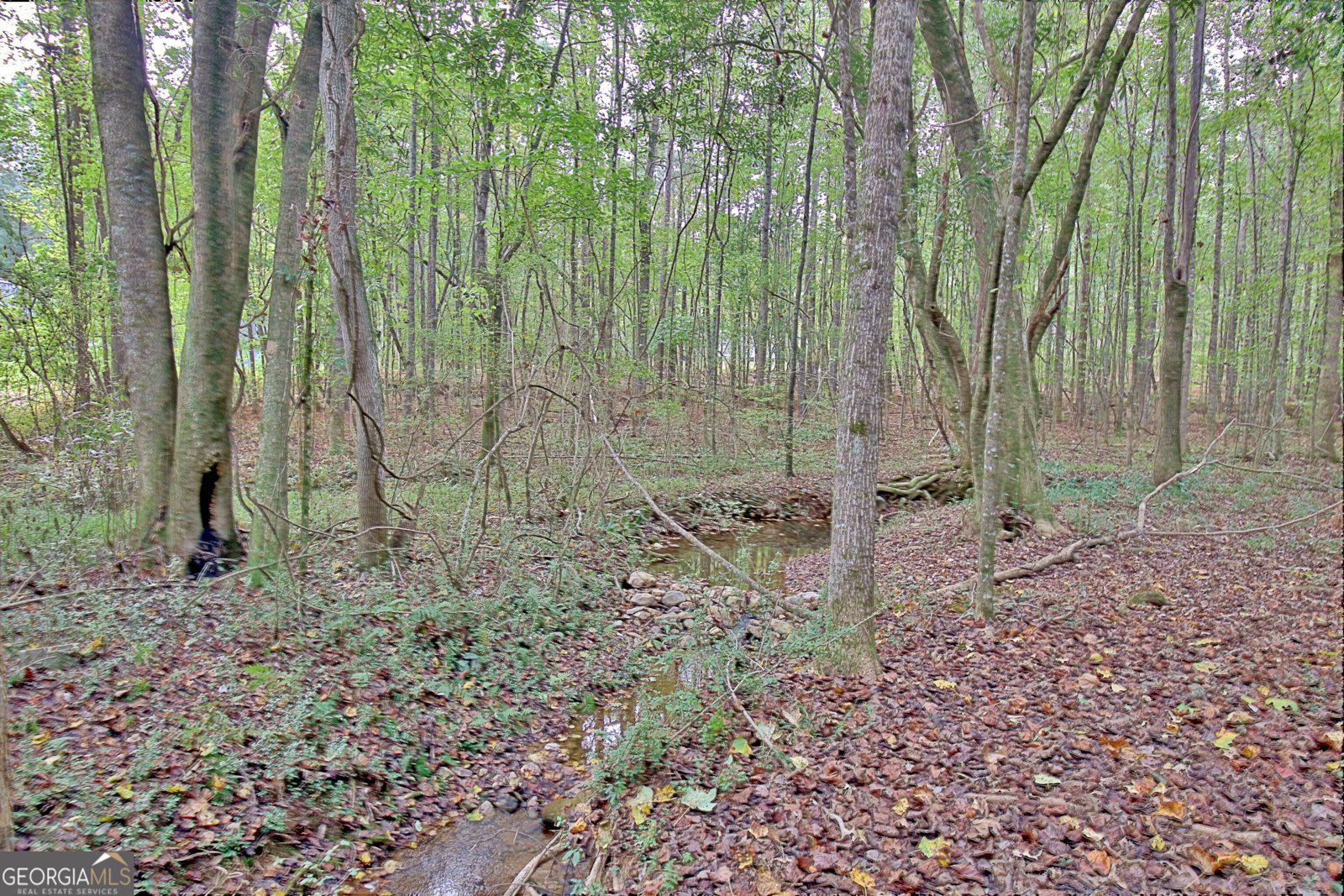 519 Cumberland Trail Senoia - 35